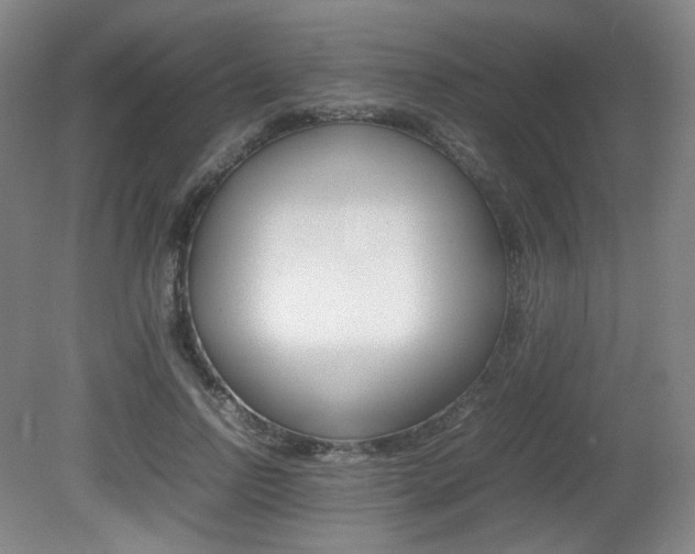 X0000080780742200612151031