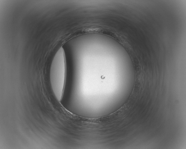 X0000080780743200612151031