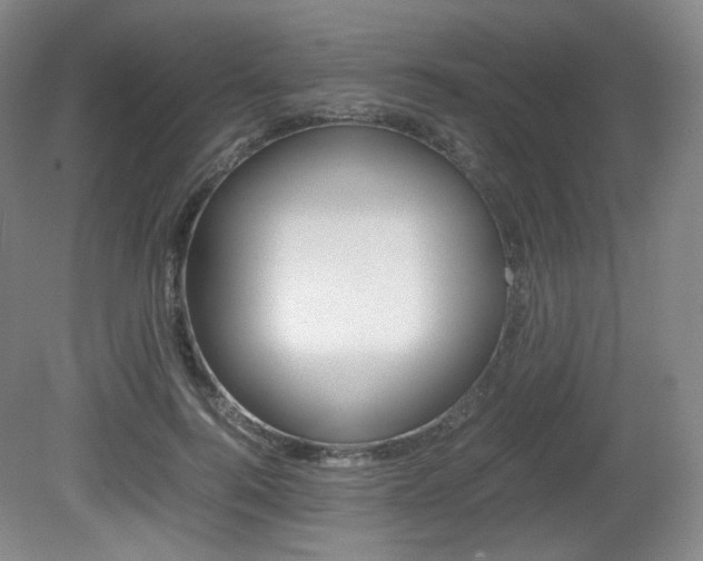 X0000080780744200612151031