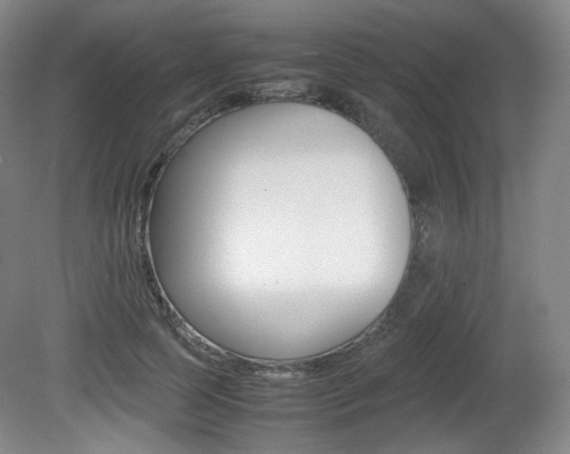 X0000080780745200612151031