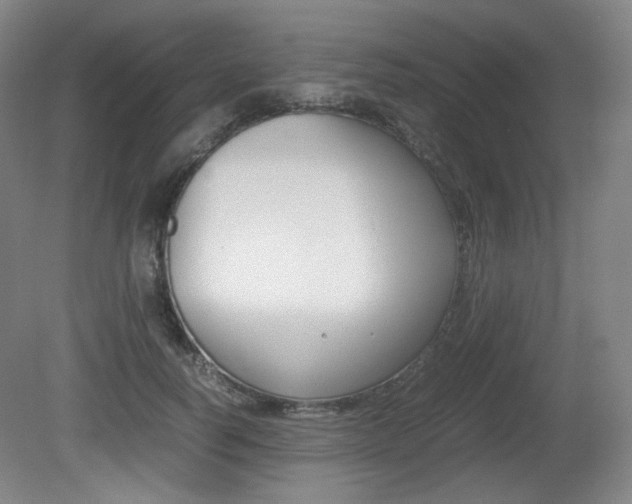X0000080780746200612151031