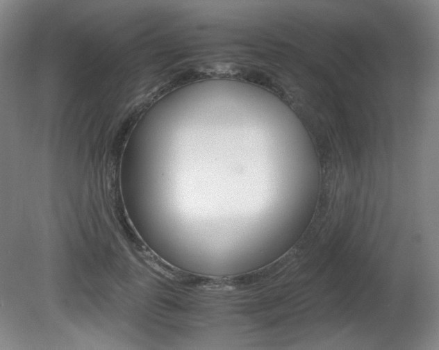 X0000080780747200612151031