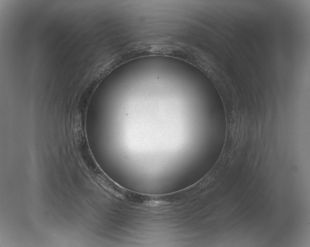 X0000080780748200612151031