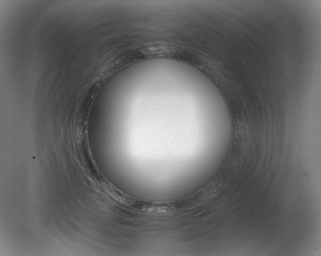 X0000080780751200612151031