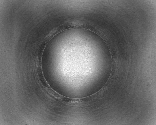 X0000080780752200612151031