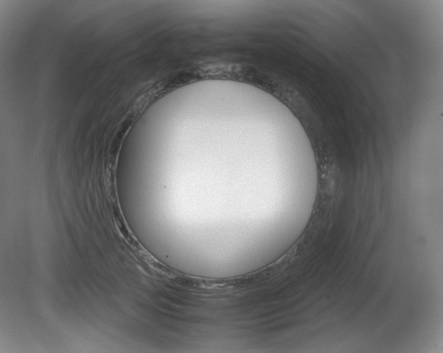 X0000080780753200612151031