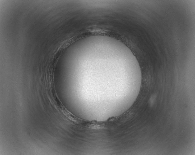X0000080780755200612151031