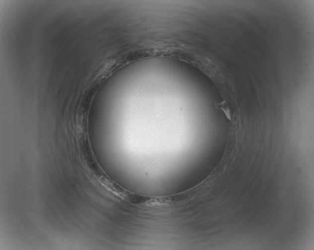 X0000080780756200612151031