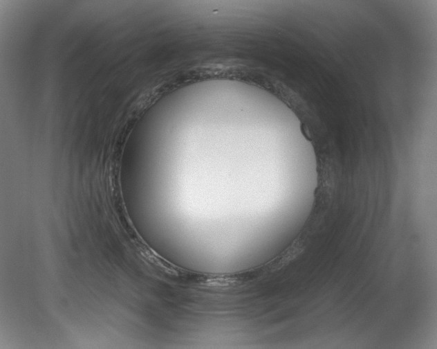 X0000080780758200612151031