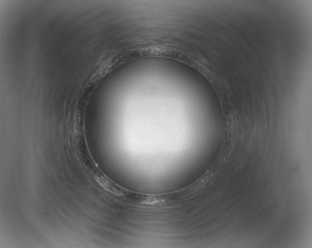 X0000080780760200612151031