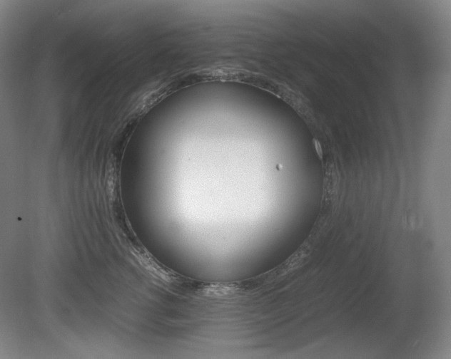 X0000080780762200612151031