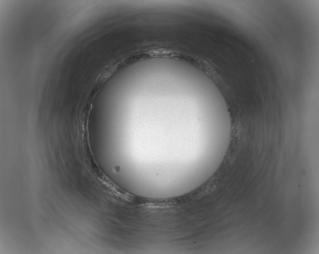 X0000080780763200612151032
