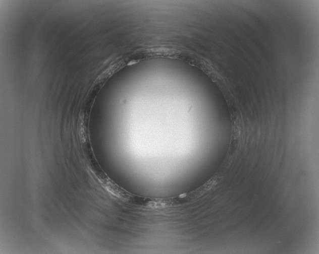 X0000080780764200612151032