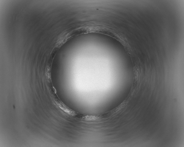 X0000080780766200612151032