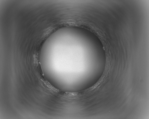X0000080780768200612151032