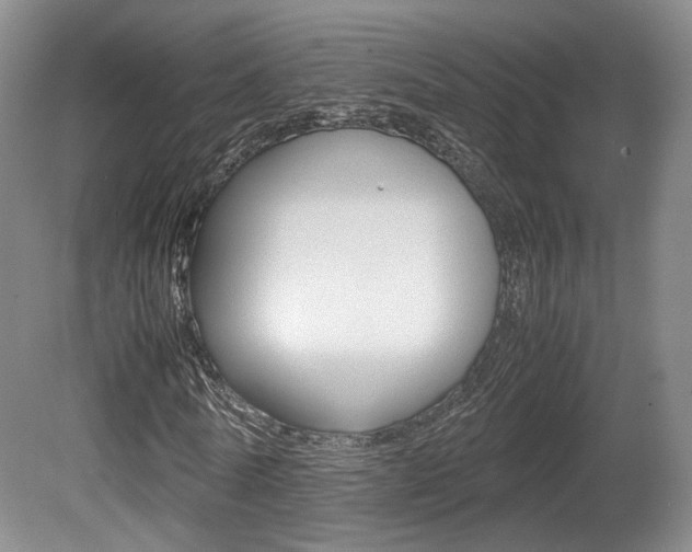 X0000080780770200612151031