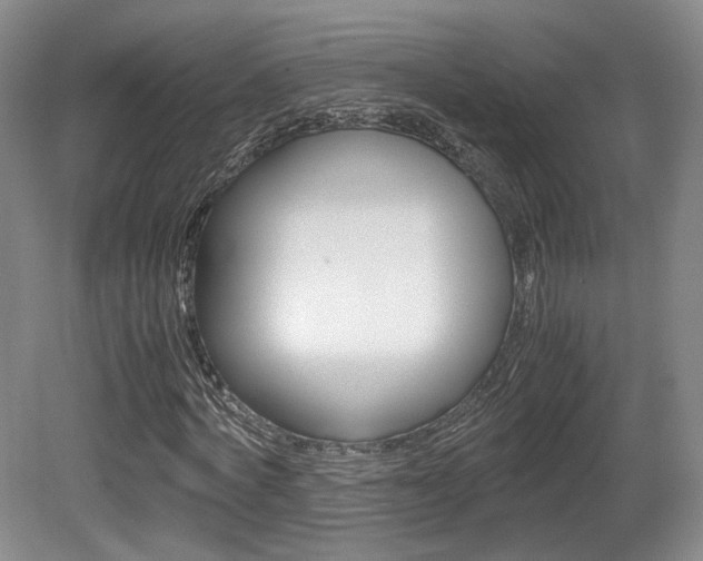 X0000080780772200612151031