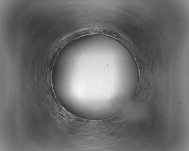 X0000080780773200612151031