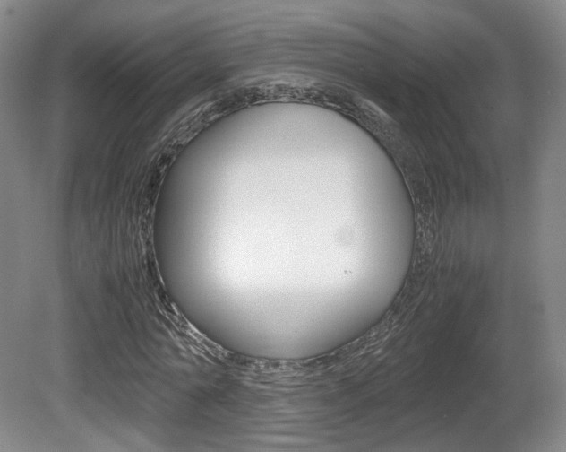 X0000080780774200612151031