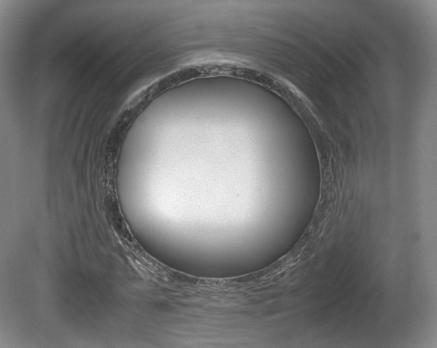 X0000080780775200612151031
