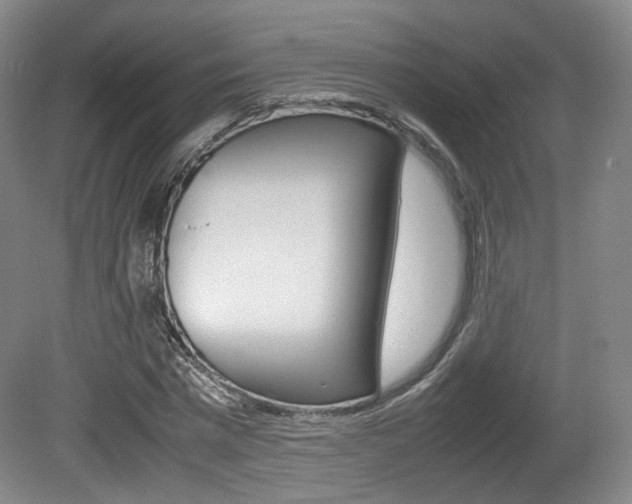 X0000080780777200612151031