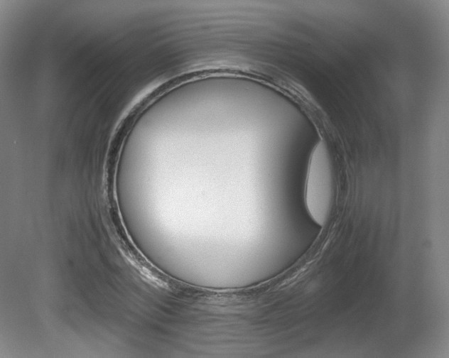 X0000080780780200612151031