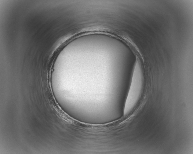 X0000080780781200612151031