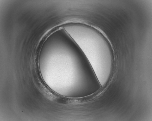 X0000080780783200612151031