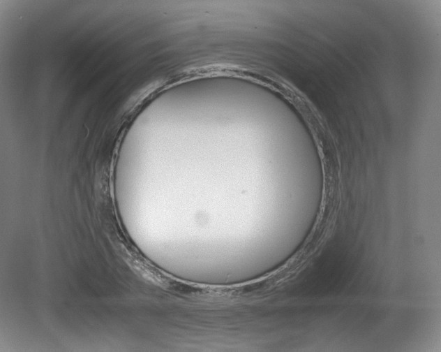 X0000080780785200612151031