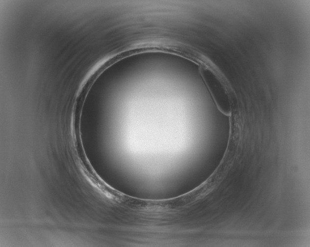 X0000080780788200612151030
