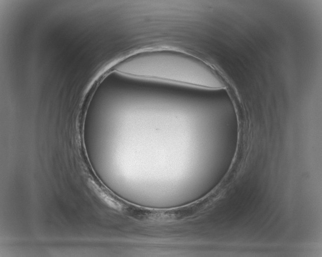 X0000080780789200612151030
