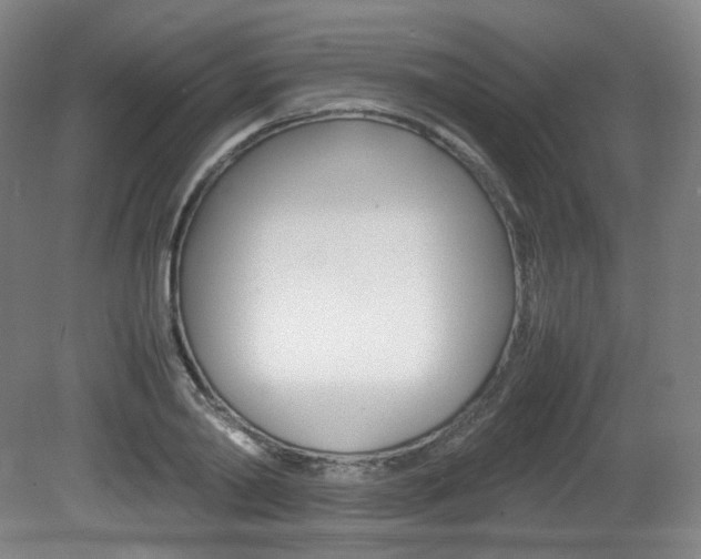 X0000080780790200612151030