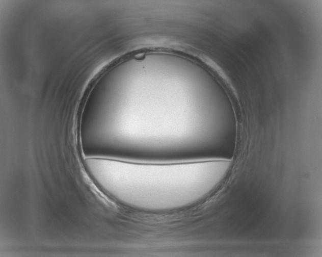 X0000080780791200612151030