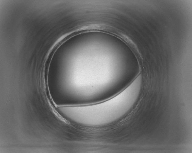 X0000080780792200612151030