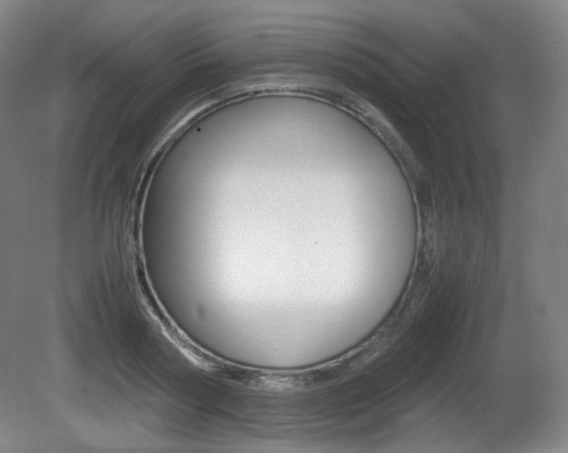 X0000080780794200612151030