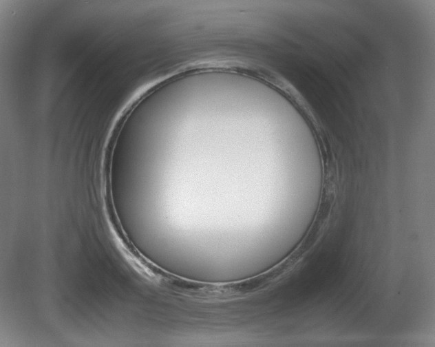 X0000080780795200612151030