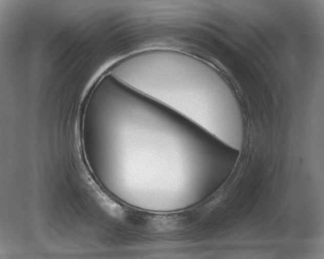 X0000080780796200612151030