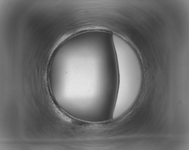 X0000080780797200612151030