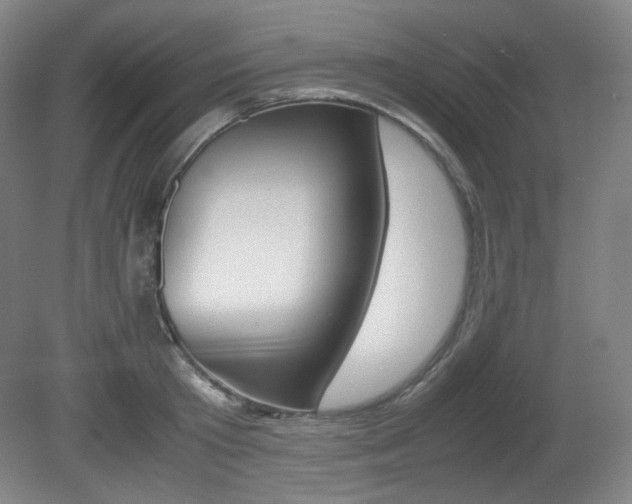 X0000080780801200612151030