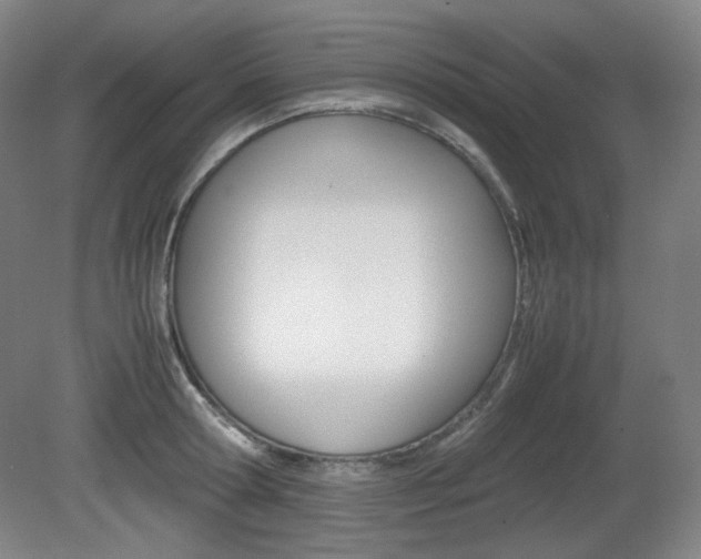 X0000080780802200612151030