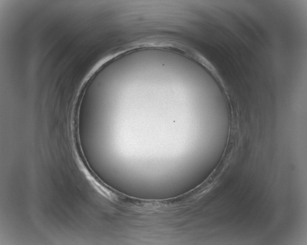 X0000080780803200612151030