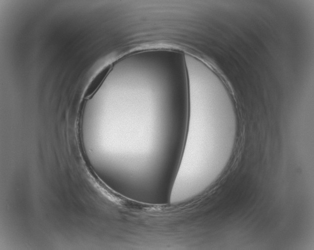 X0000080780805200612151030
