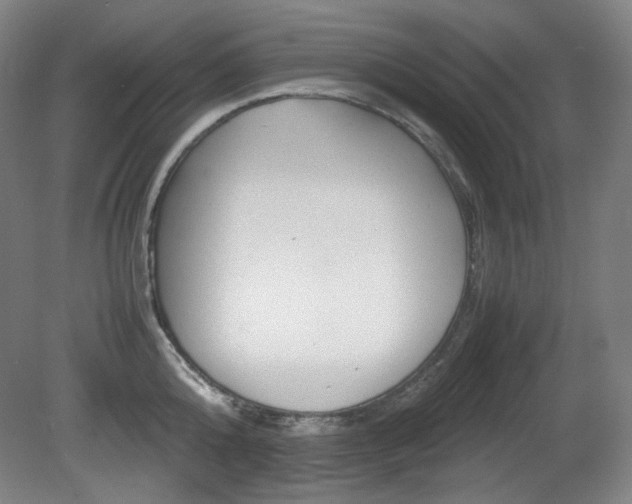X0000080780808200612151030