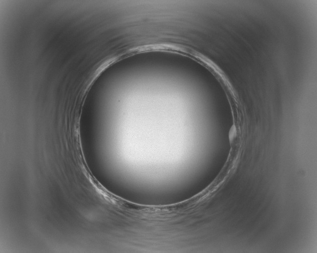 X0000080780809200612151030
