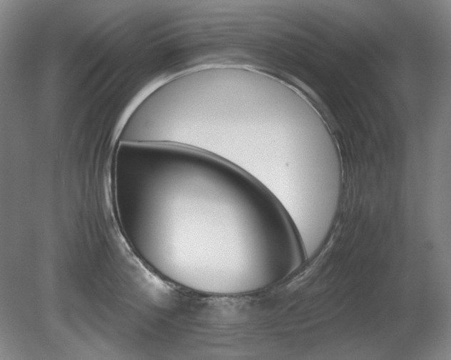 X0000080780812200612151030