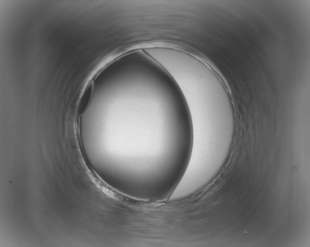 X0000080780813200612151030
