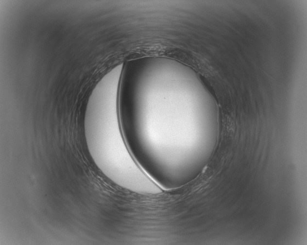 X0000080780818200612151029
