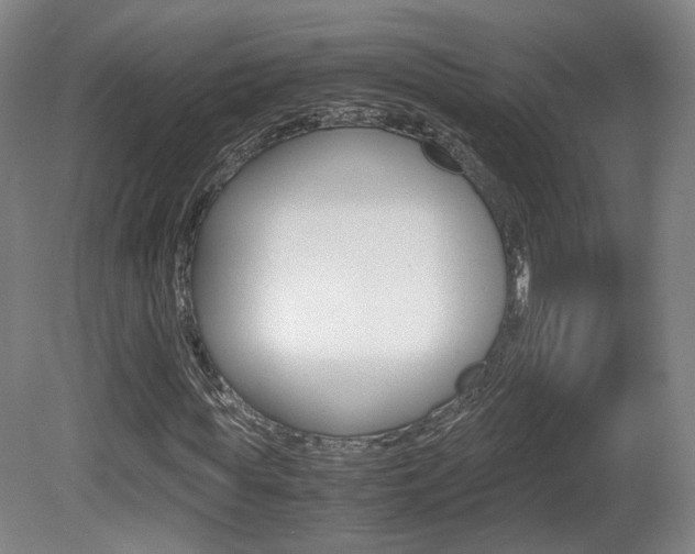 X0000080780819200612151029