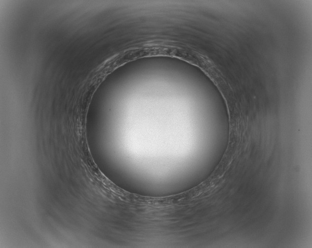 X0000080780821200612151029