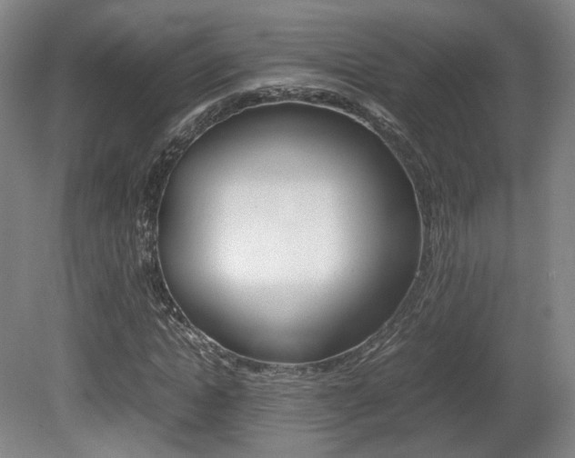 X0000080780822200612151029